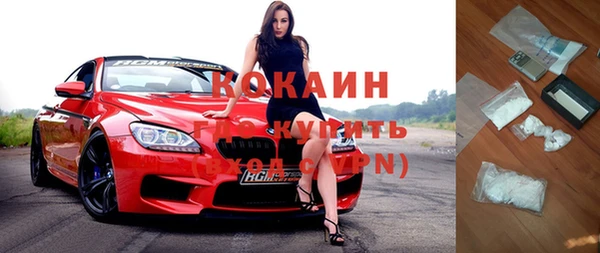 шишки Михайловск