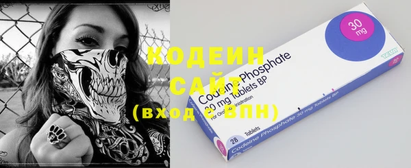 шишки Михайловск