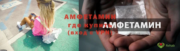 шишки Михайловск