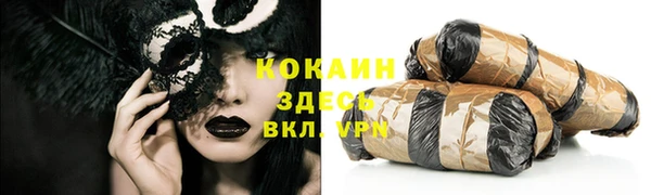 гашик Бабаево