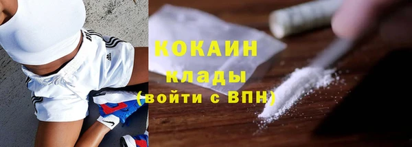 шишки Михайловск