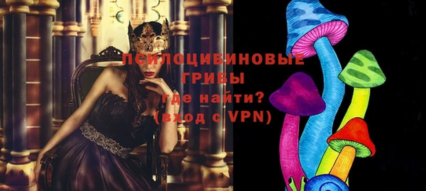 гидра Михайлов