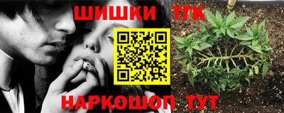 шишки Волжск