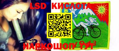 шишки Волжск