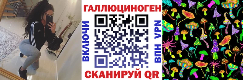 закладка  Железноводск  Псилоцибиновые грибы мухоморы 