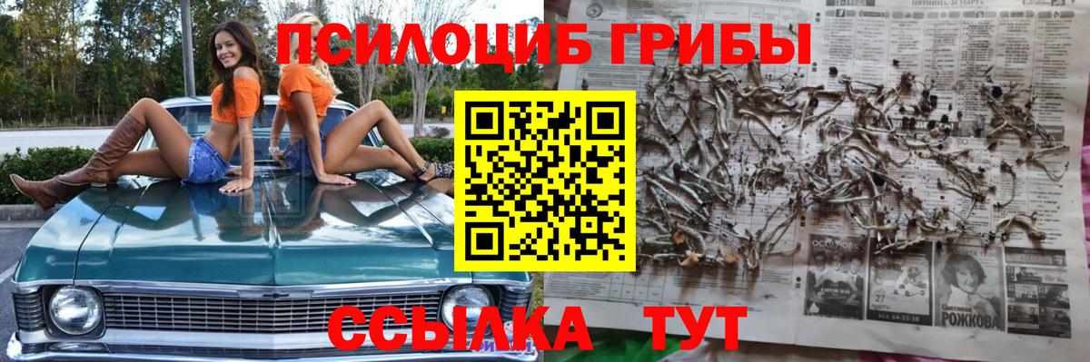 Псилоцибиновые грибы Psilocybe  Железноводск 