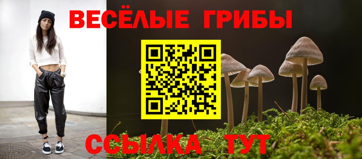 где купить наркоту  Галлюциногенные грибы Magic Shrooms  Железноводск  Вход с VPN  Псилоцибиновые грибы MAGIC MUSHROOMS 