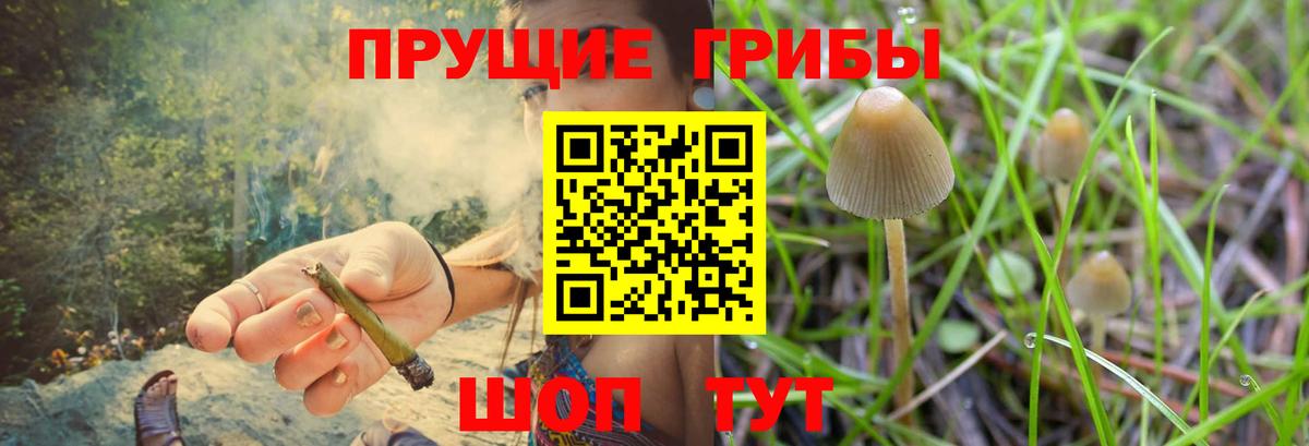 APVP Железноводск